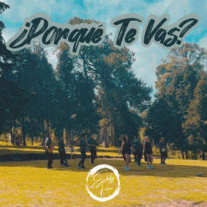 ¿Porqué Te Vas?