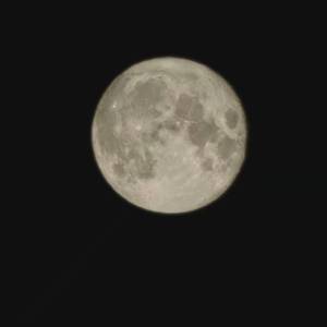 男人哭吧不是罪