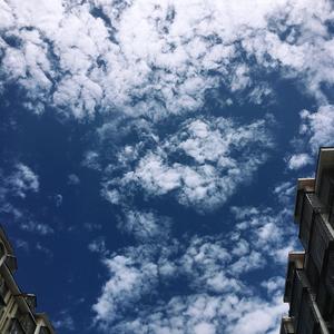 一人份爱情（demo)