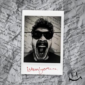 istemiyorum