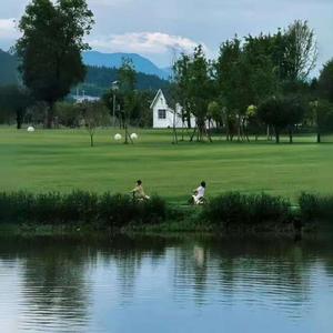 故乡的风来了又走 (女版)