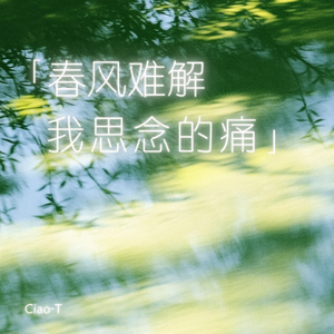 春风难解我思念的痛（深情版）