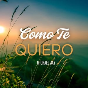 Como Te Quiero