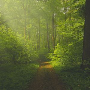 温和下班后按摩梦想