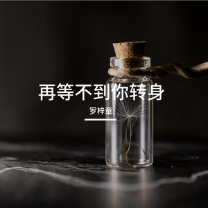 再等不到你转身