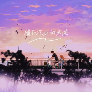 橘子汽水的味道