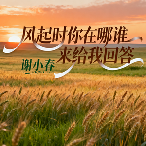 风起时你在哪谁来给我回答