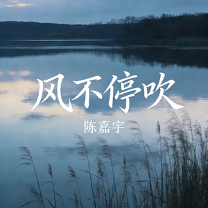 风不停吹