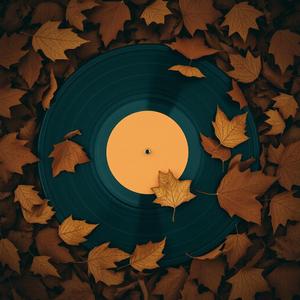 Shimmering Wires in the Mist