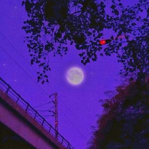 PurpleMoon