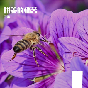甜美的痛苦