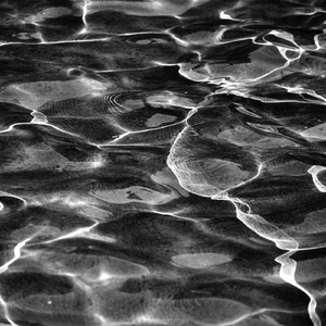 The Fold (feat. Chuck Hammer)