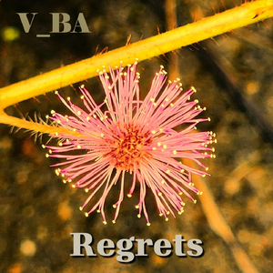 Regrets