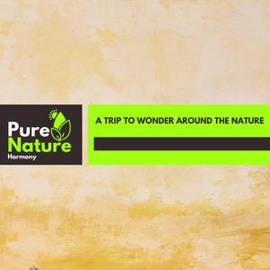 Wet Earth and Rain Droplet Music