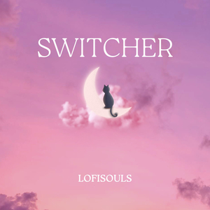 Switcher (Radio Edit)