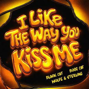 I Like the Way You Kiss Me (Speed Garage)