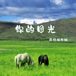 你的目光