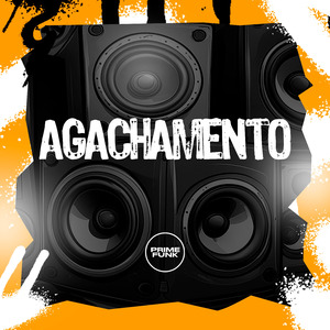 Agachamento