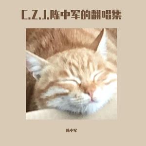 阳光一般灿烂的日子