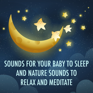 Electric Coffee Grinder