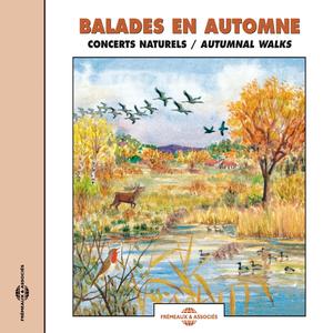 Un Groupe De Choucas Et Le Retour Du Soleil