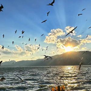 瞎敦丈练式崭舷我门贤境