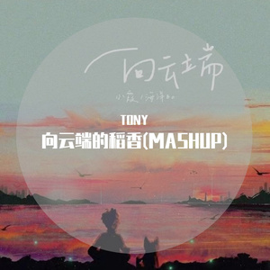 TONY-向云端的稻香(MASHUP)