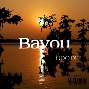 Bayou