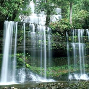 丑奴儿·书博山道中壁