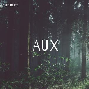 Aux