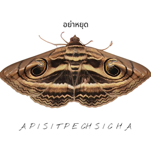 อย่าหยุด