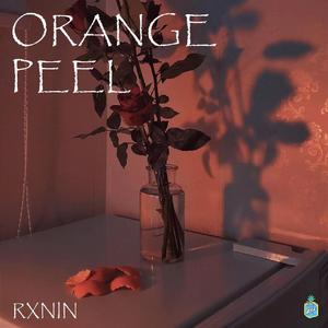 Orange Peel（Cover. RXNIN）