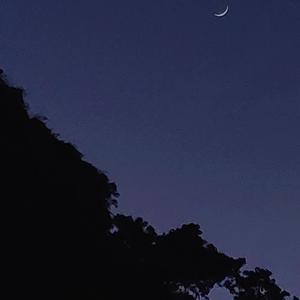 红昭愿