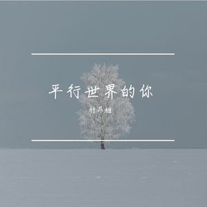 平行世界的你