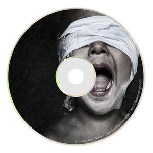 Fly Little Bird (Original mix)