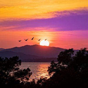 岁月安暖（纯音乐）