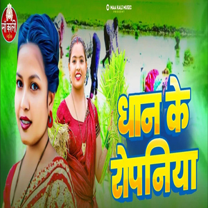 Dhaan Ke Ropaniya