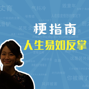 人生易如反掌是什么梗【梗指南】