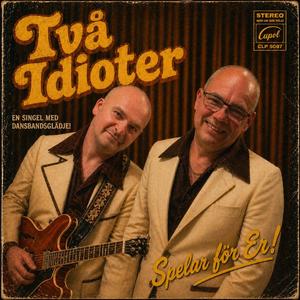 Två idioter