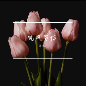 把思念揉进晚风里