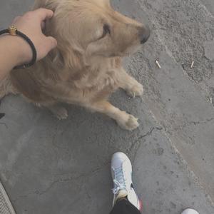 感谢你曾经来过-张文迪