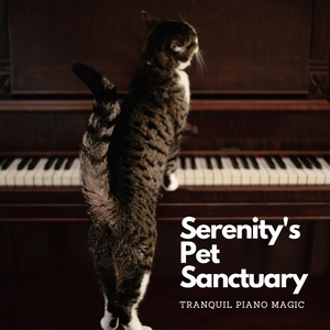 Tranquil Melodies Piano Serenity