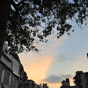 悠扬吟