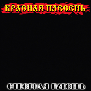 Снежинки и пися