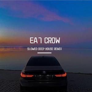 CROW (SLOWED DEEP HOUSE R M X)