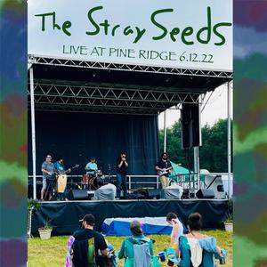 No Men in No-Men's Land (Live)