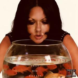 (Mud)追逐或虛妄