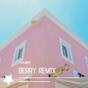 李佳隆-BERRY(Remix)