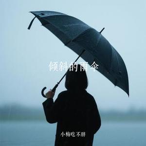 倾斜的雨伞