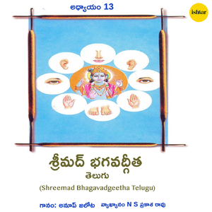 Sarvatah Panipadam Tatsarvatokhishiromukham-Sarvatah Srutimalloke Sarvamavaritya Tishthati